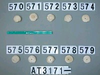 藏品(芋螺貝)的圖片